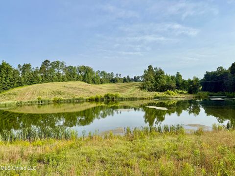 Vacant Land For Sale - 385 Albert Mcmillin Road<br/> Winston County, Louisville, MS 39339