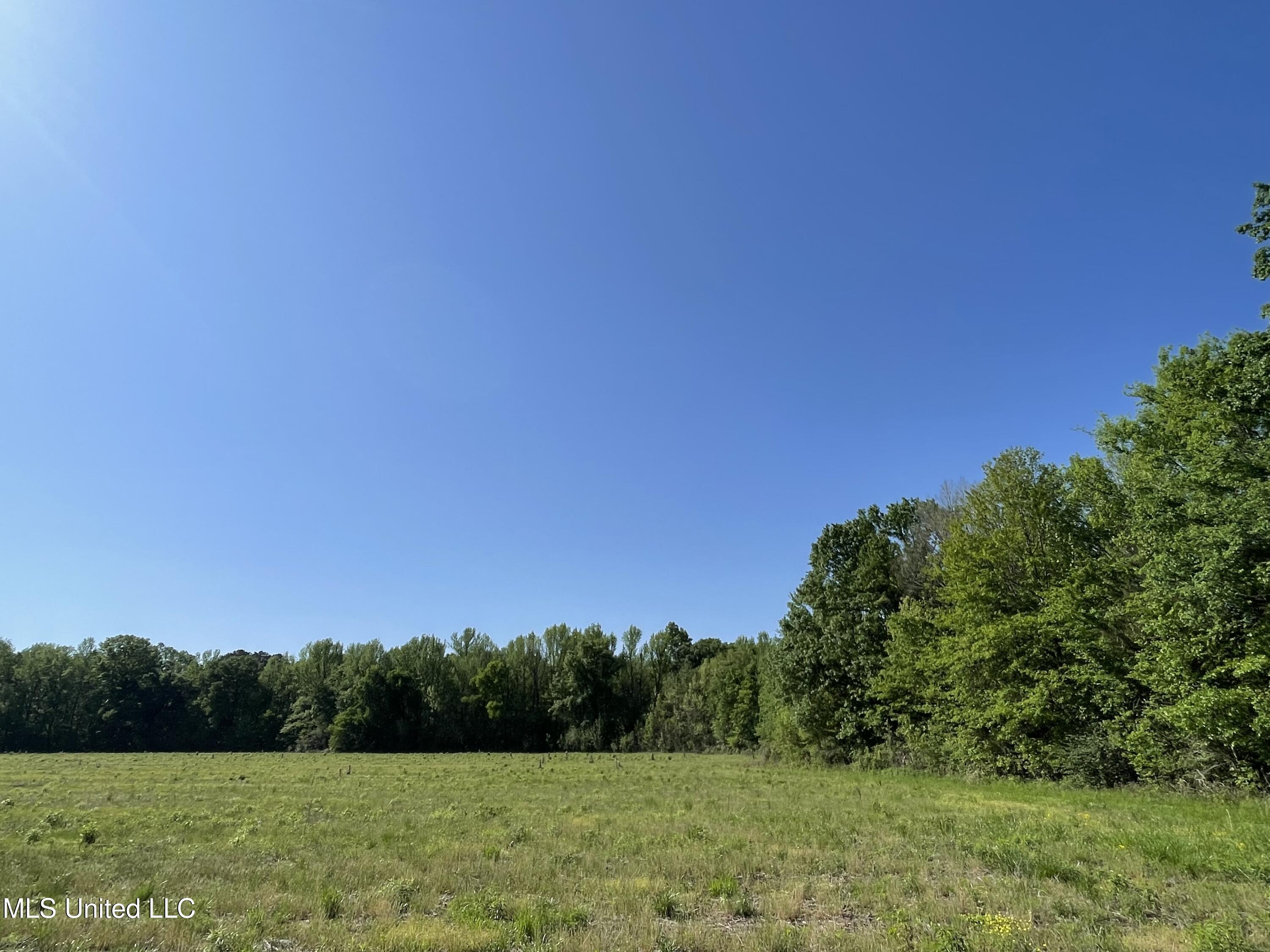 0002 Renfroe Rd, Canton, Mississippi image 3