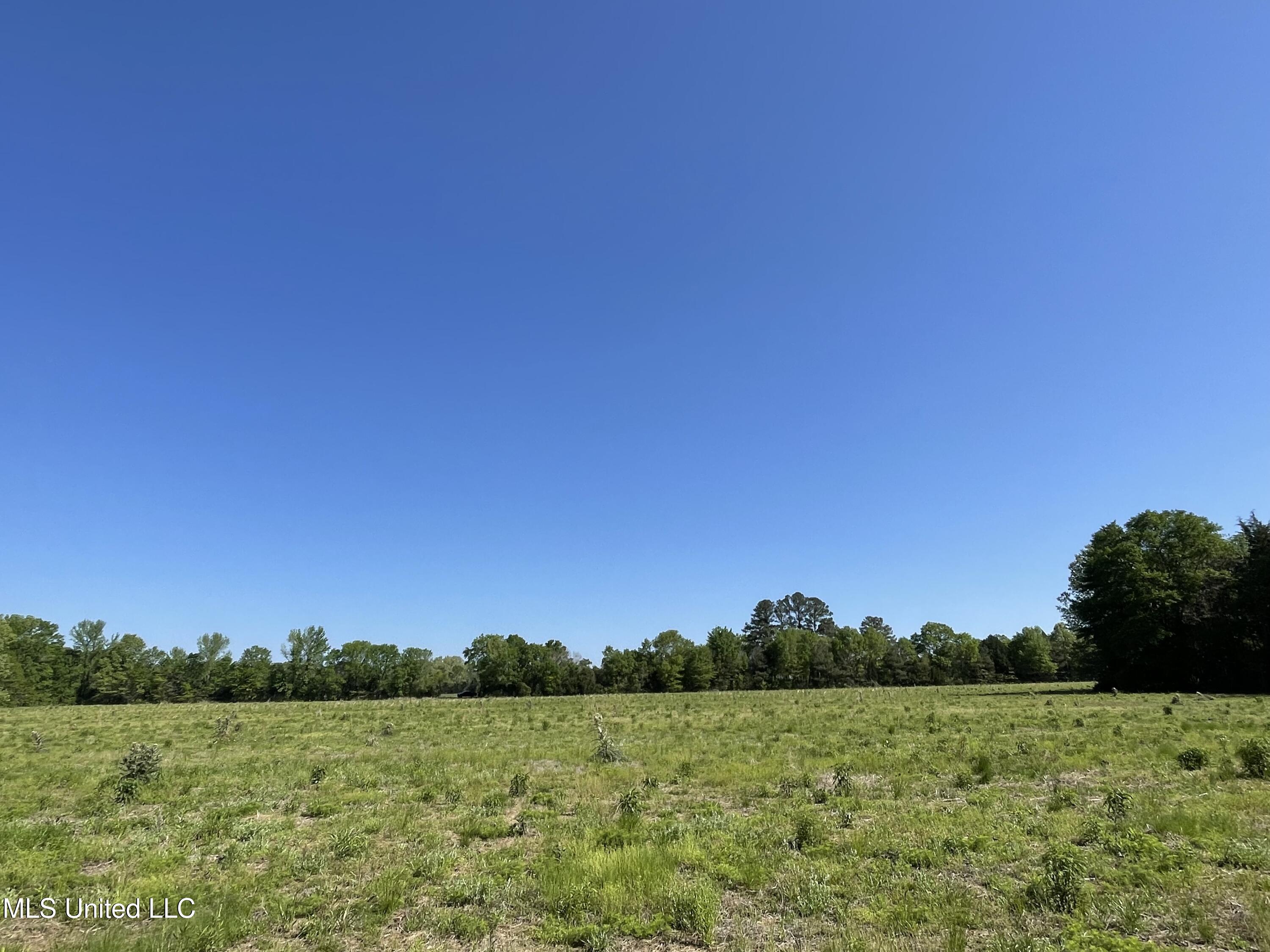 0002 Renfroe Rd, Canton, Mississippi image 14