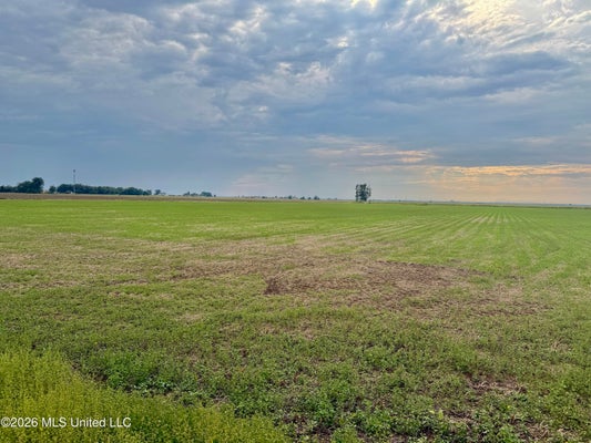 ADDRESS PRIVATE, CLEVELAND, MS 38732 - Image 4e31e593ecce08c04d3d8afe3edc34f4/1340574892