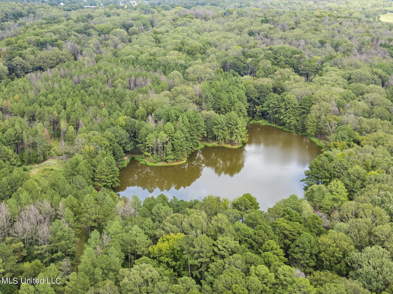 14640 Dry Grove Road, Raymond, Mississippi image 8