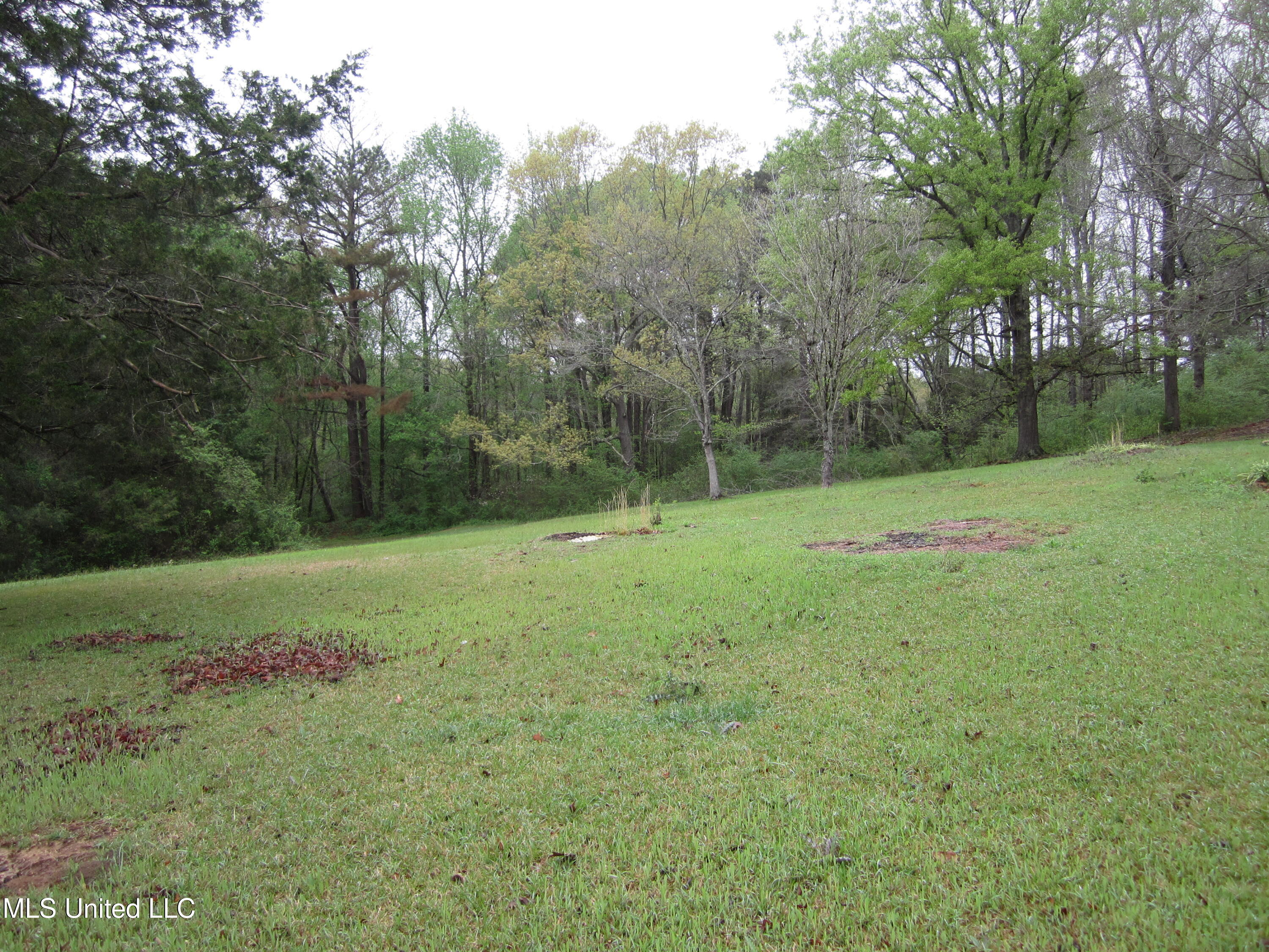 103 Hemlock Drive Drive, Potts Camp, Mississippi image 2