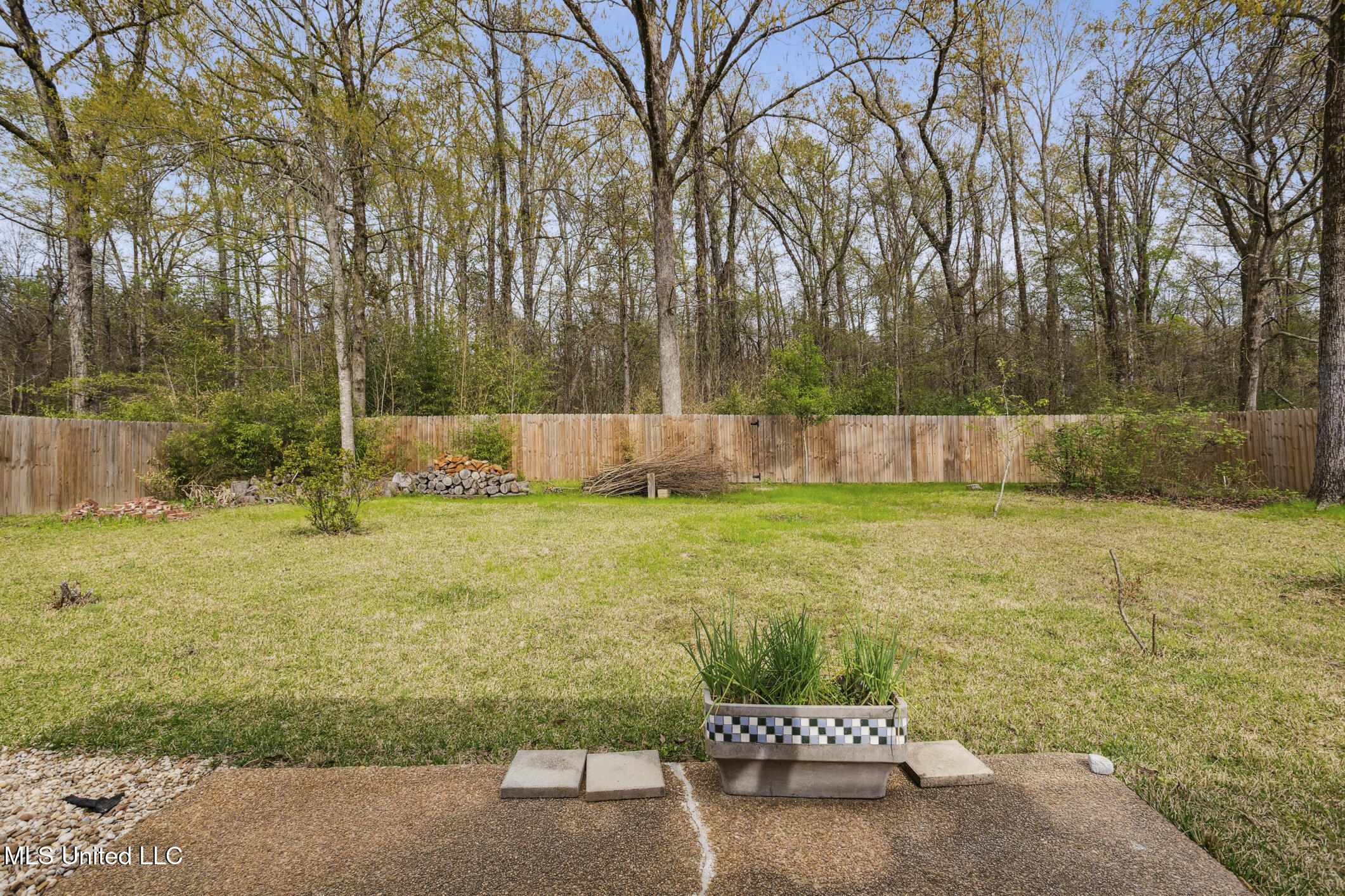 227 Mallard Drive, Brandon, Mississippi image 21