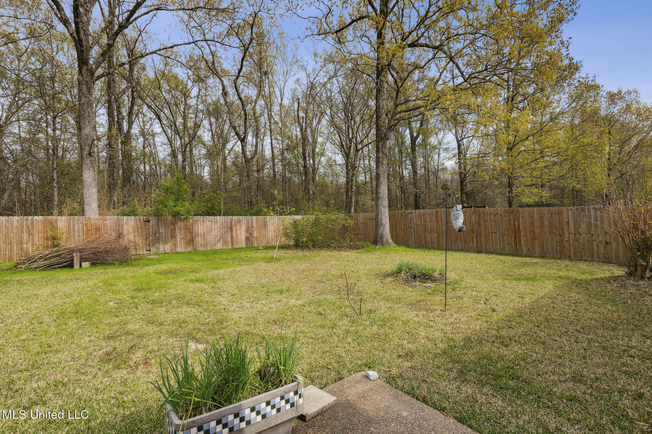 227 Mallard Drive, Brandon, Mississippi image 22