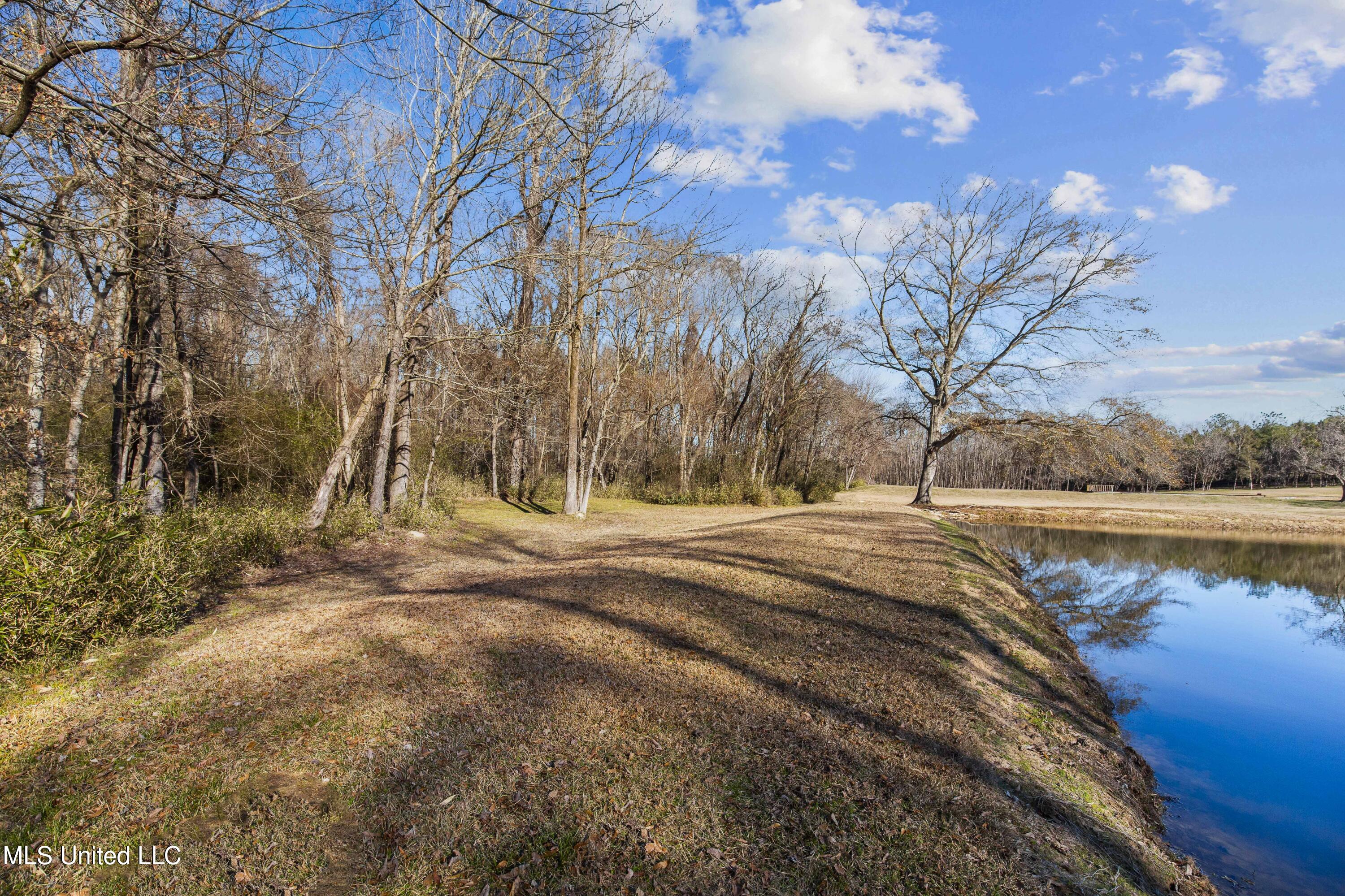 556 Countryside Place, Madison, Mississippi image 48