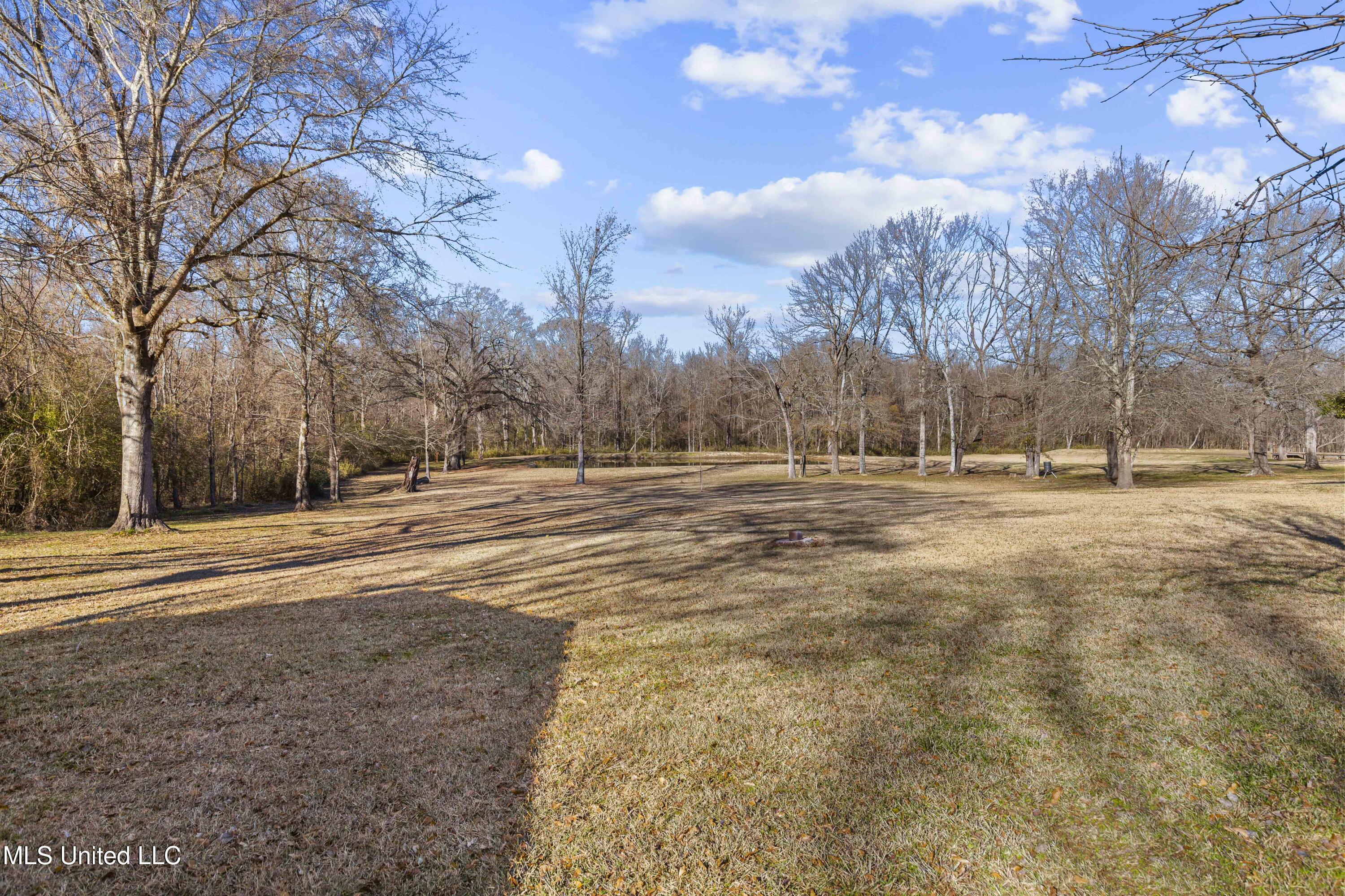 556 Countryside Place, Madison, Mississippi image 45