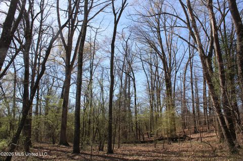 Vacant Land For Sale - 7 Barton Desoto Road<br/> Marshall County, Olive Branch, MS 38654