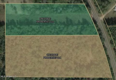 Vacant Land For Sale - 1731 Mississippi 589<br/> Lamar County, Purvis, MS 39475