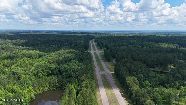 8659 Hillview Drive, Meridian, Mississippi image 9