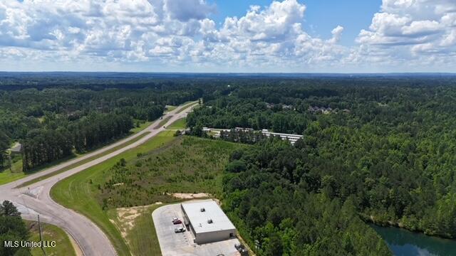 8659 Hillview Drive, Meridian, Mississippi image 8