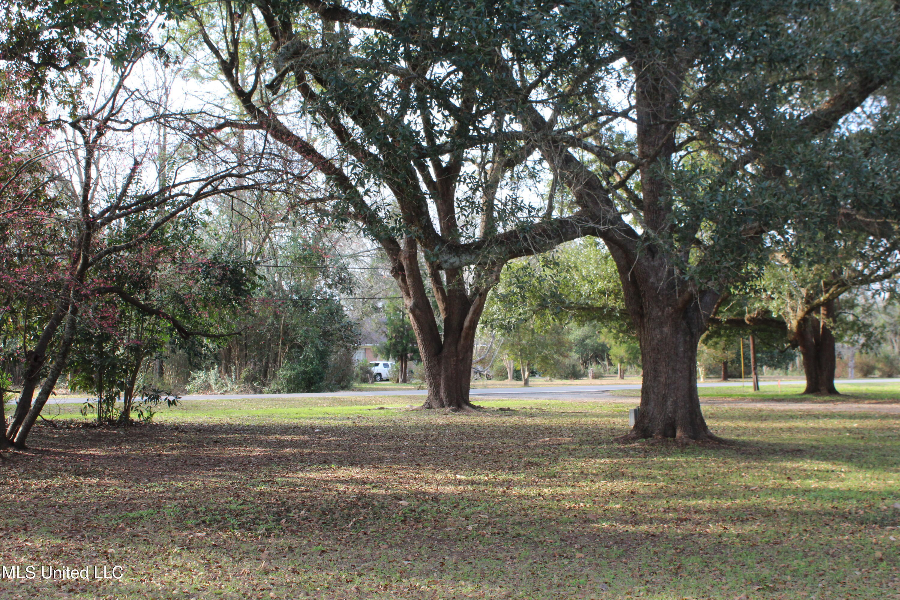 400 Manila Street, Lucedale, Mississippi image 6