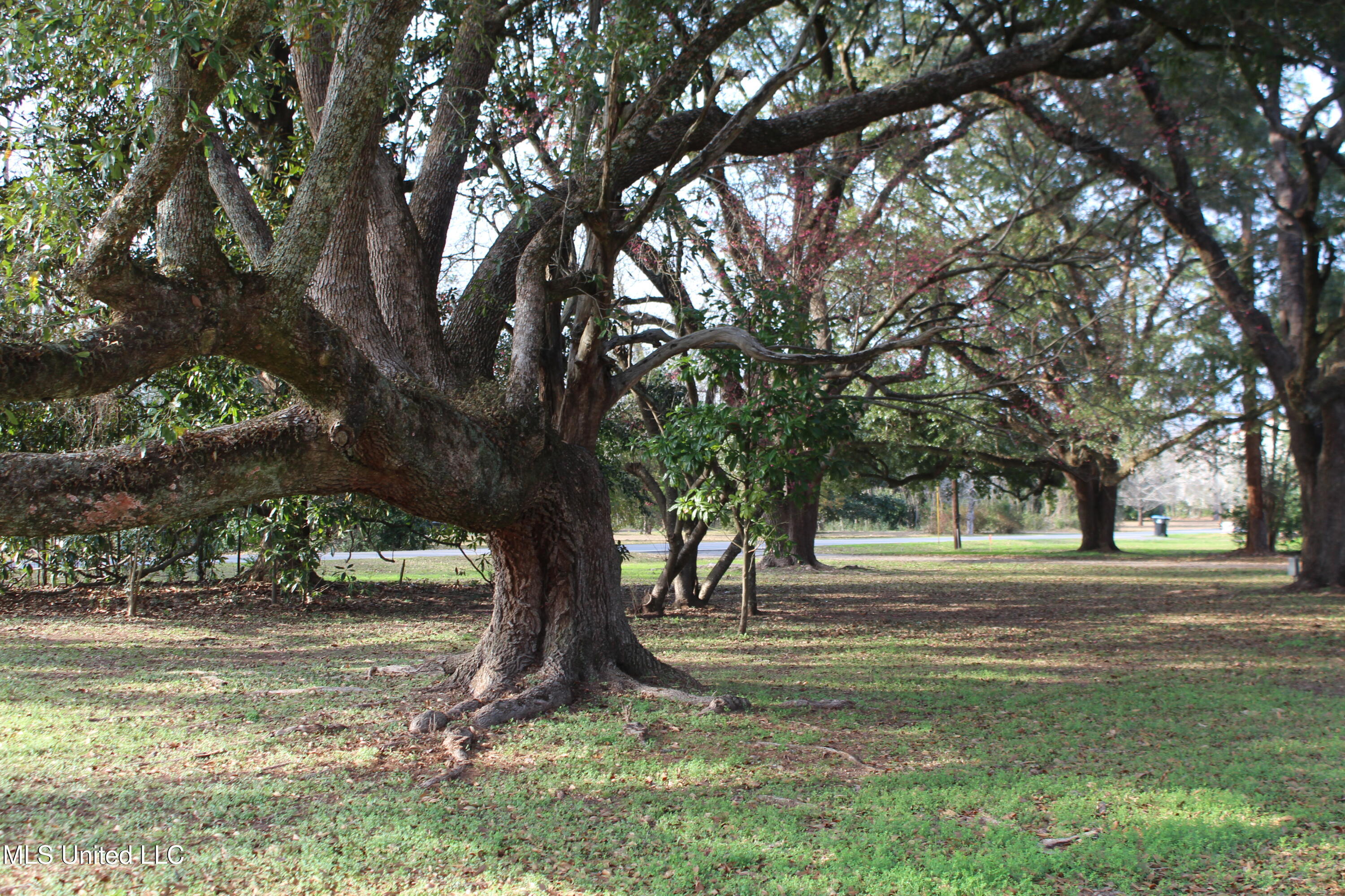 400 Manila Street, Lucedale, Mississippi image 8