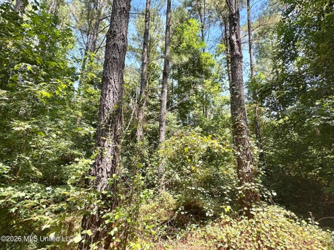 Vacant Land For Sale - 5 County Road 24<br/> Jasper County, Enterprise, MS 39330