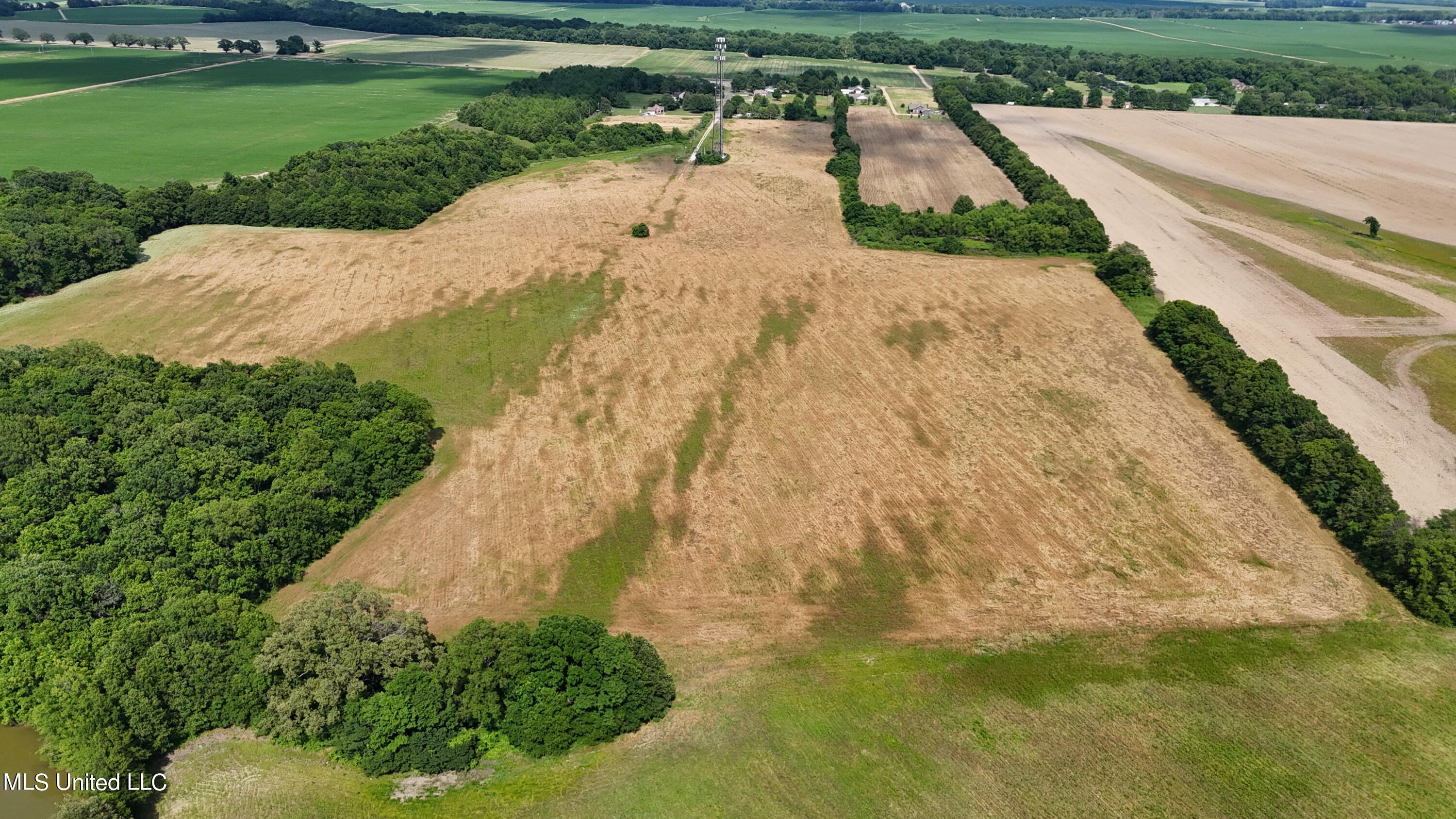 W Highway 82 West, Itta Bena, Mississippi image 7