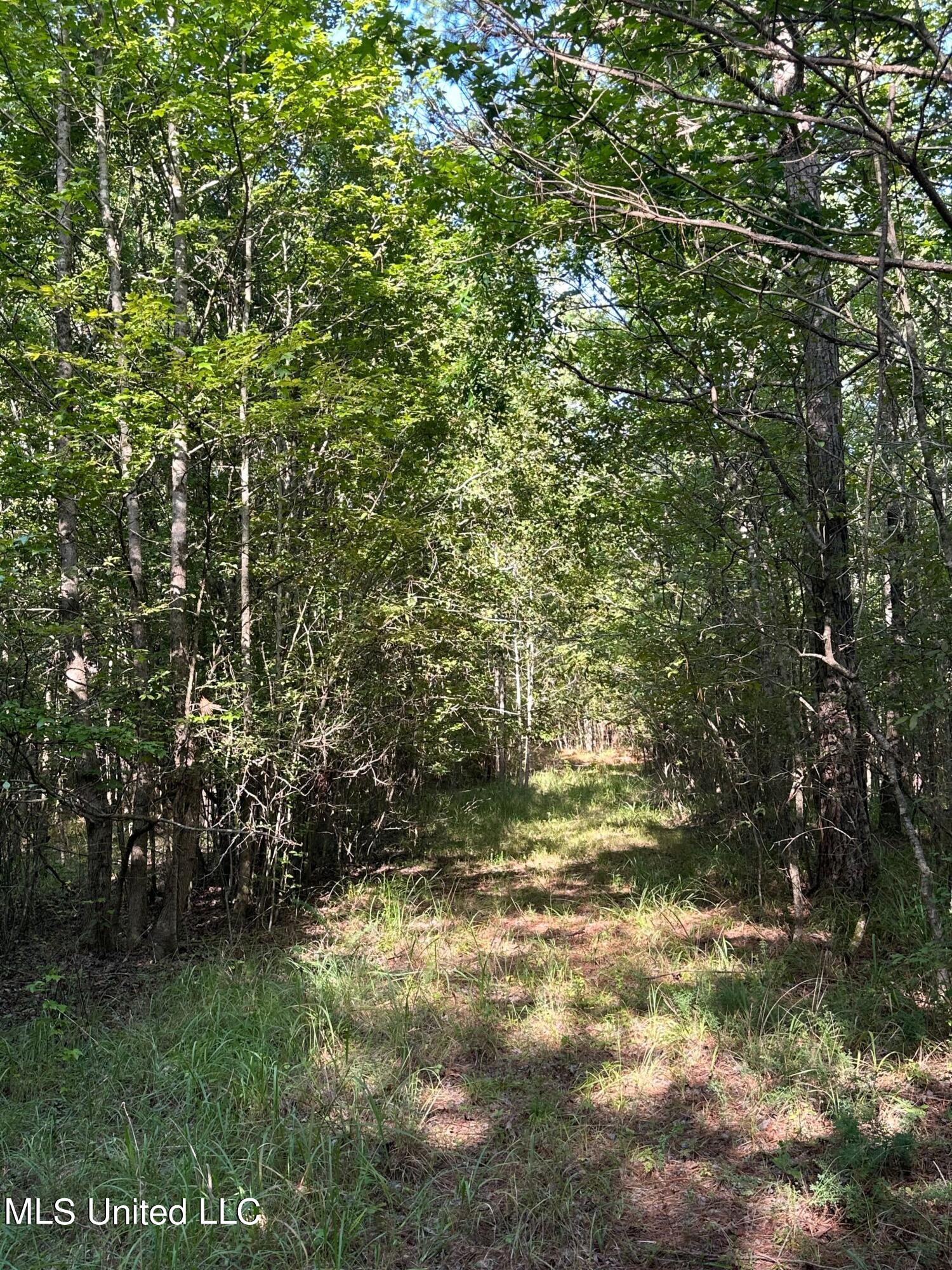 Hwy 32, Oakland, Mississippi image 5