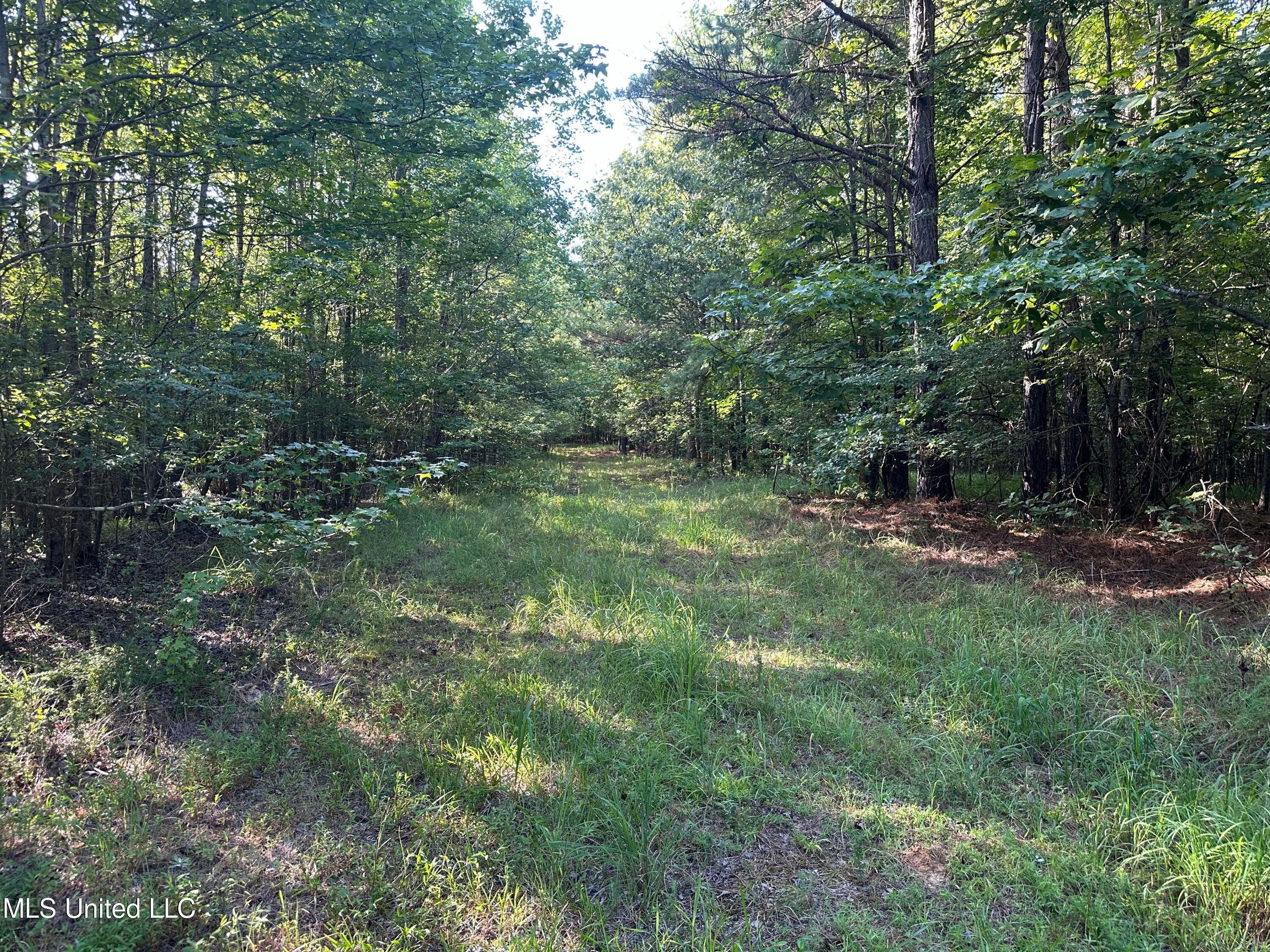 Hwy 32, Oakland, Mississippi image 3