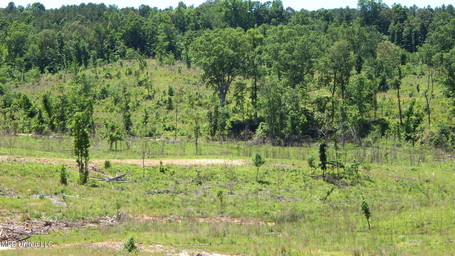 104 Hugh White State Park Road, Grenada, Mississippi image 4