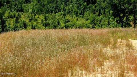 Vacant Land For Sale - 104 Hugh White State Park Road<br/> Grenada, MS 38901