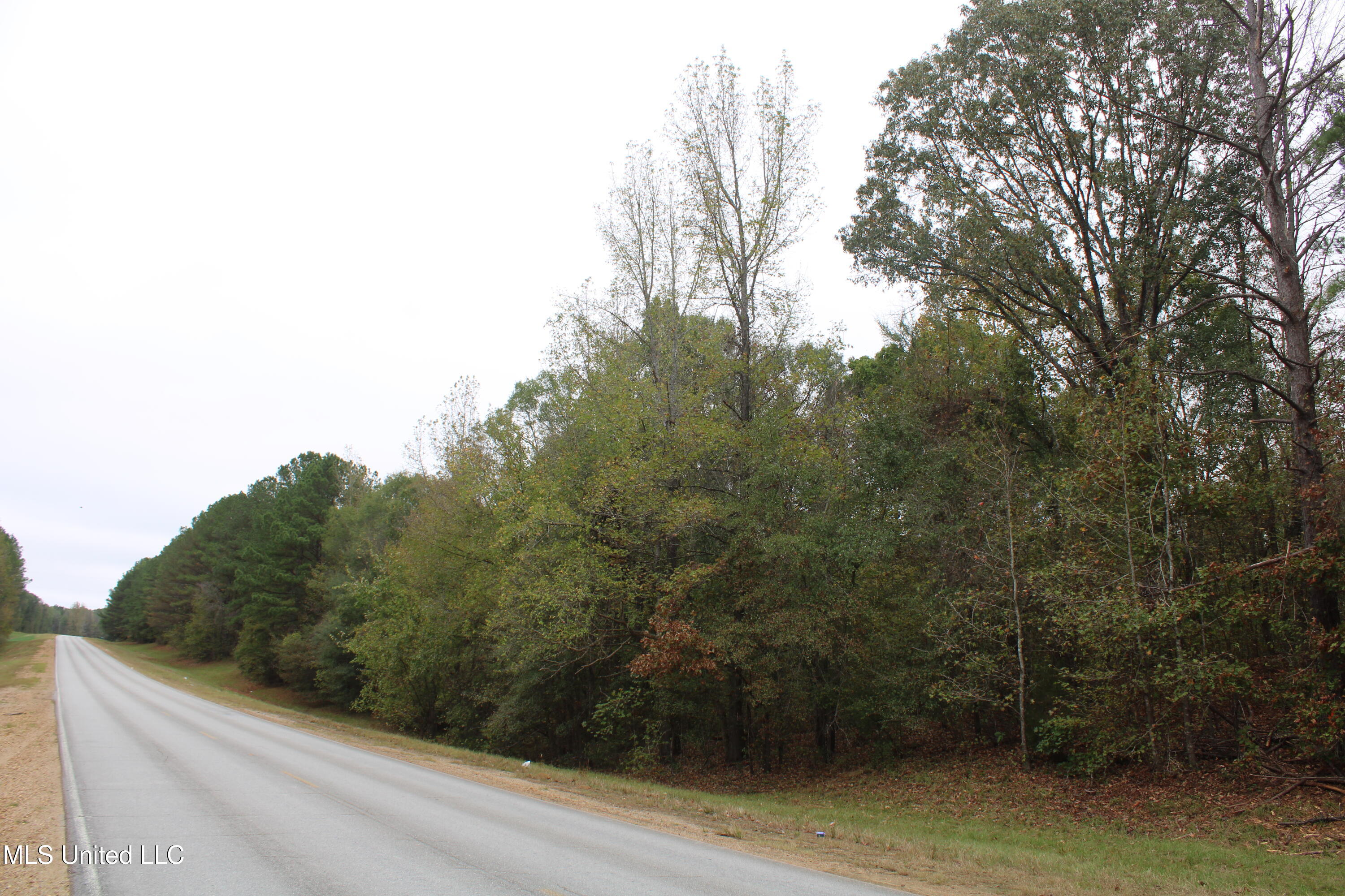 1400 Highway 35, Holcomb, Mississippi image 3