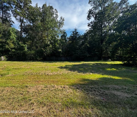 Vacant Land For Sale - LOT 33 Briar Creek Circle<br/> Laurel, MS 39440