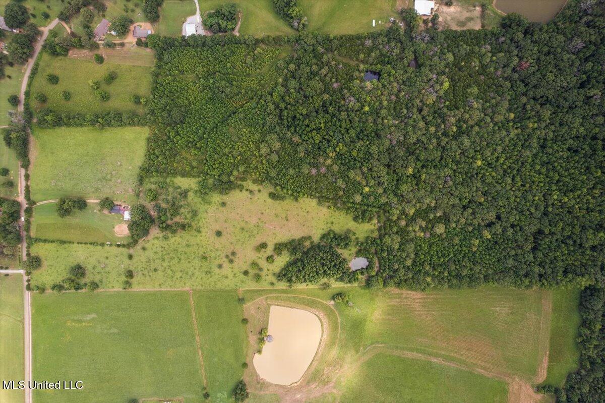 Smith-carr Rd Road, Canton, Mississippi image 11