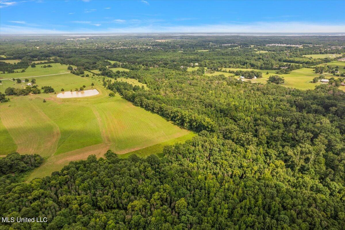 Smith-carr Rd Road, Canton, Mississippi image 8