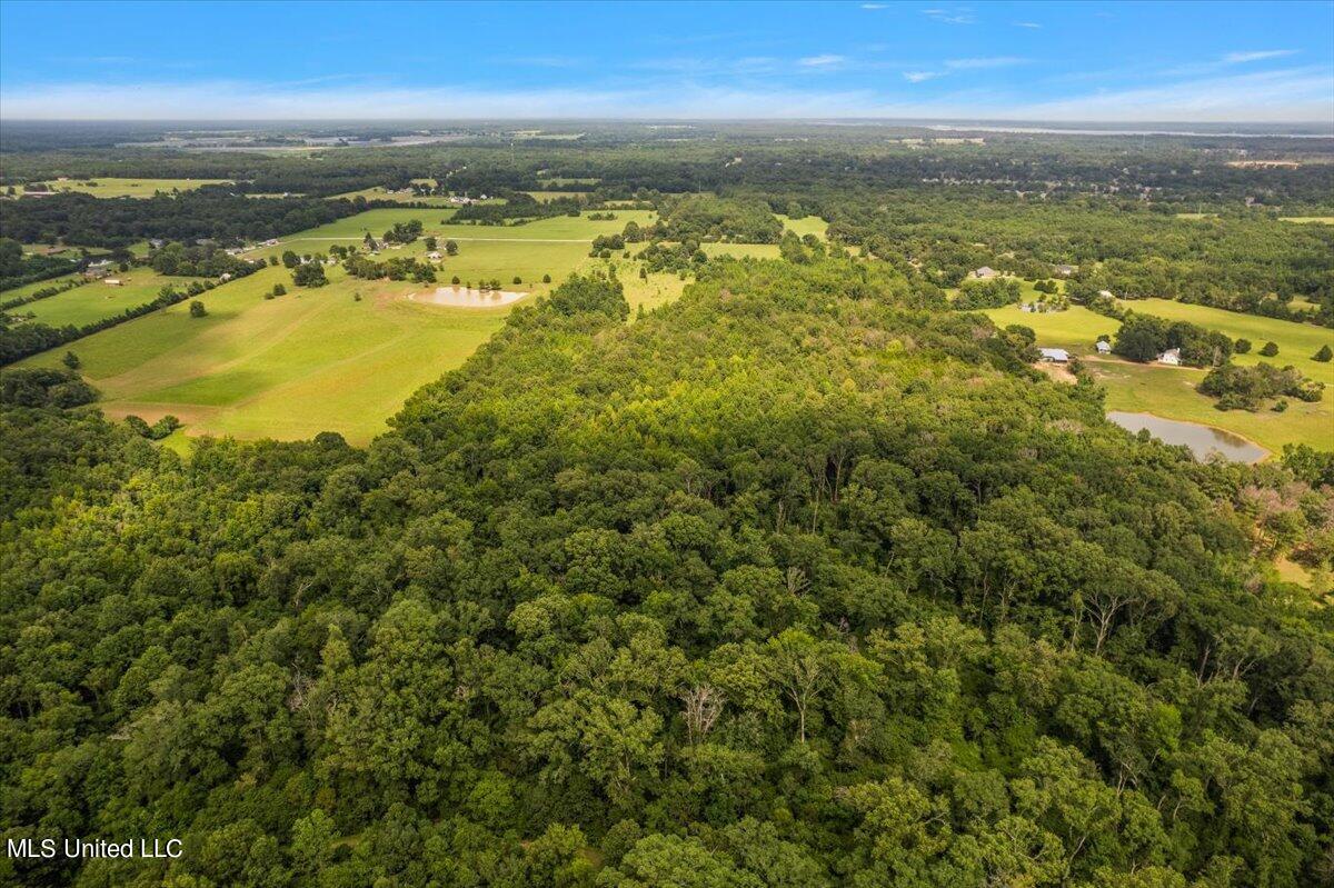 Smith-carr Rd Road, Canton, Mississippi image 9