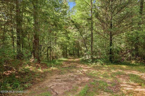 Vacant Land For Sale - 077 Potluck Road<br/> Madison County, Canton, MS 39046