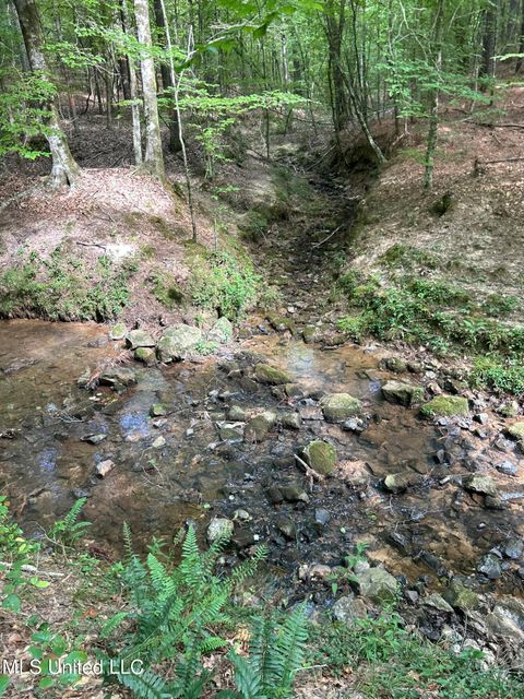 Vacant Land For Sale - West Boulevard<br/> West, MS 39192