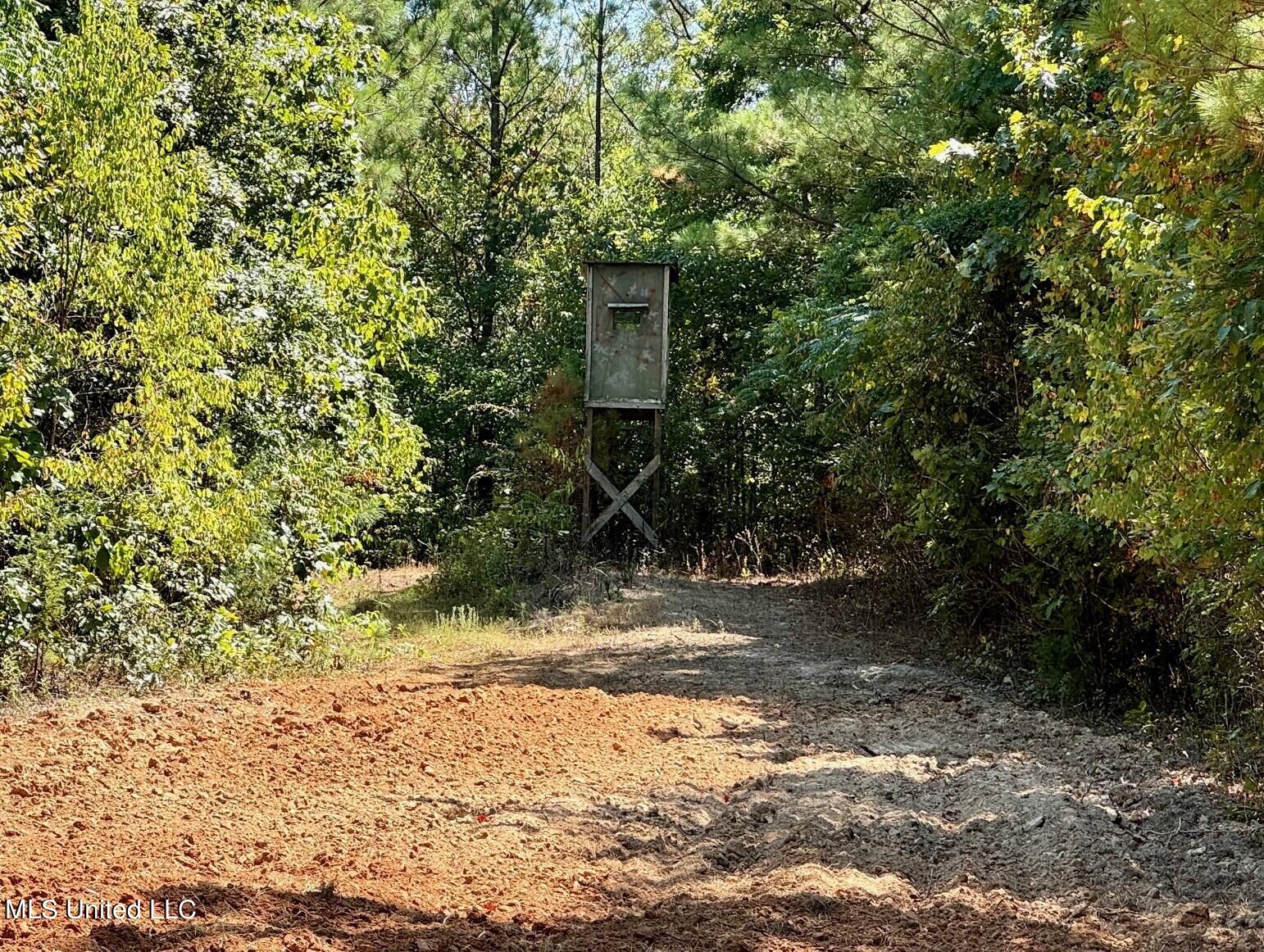 Tbd Cr 331, Banner, Mississippi image 13