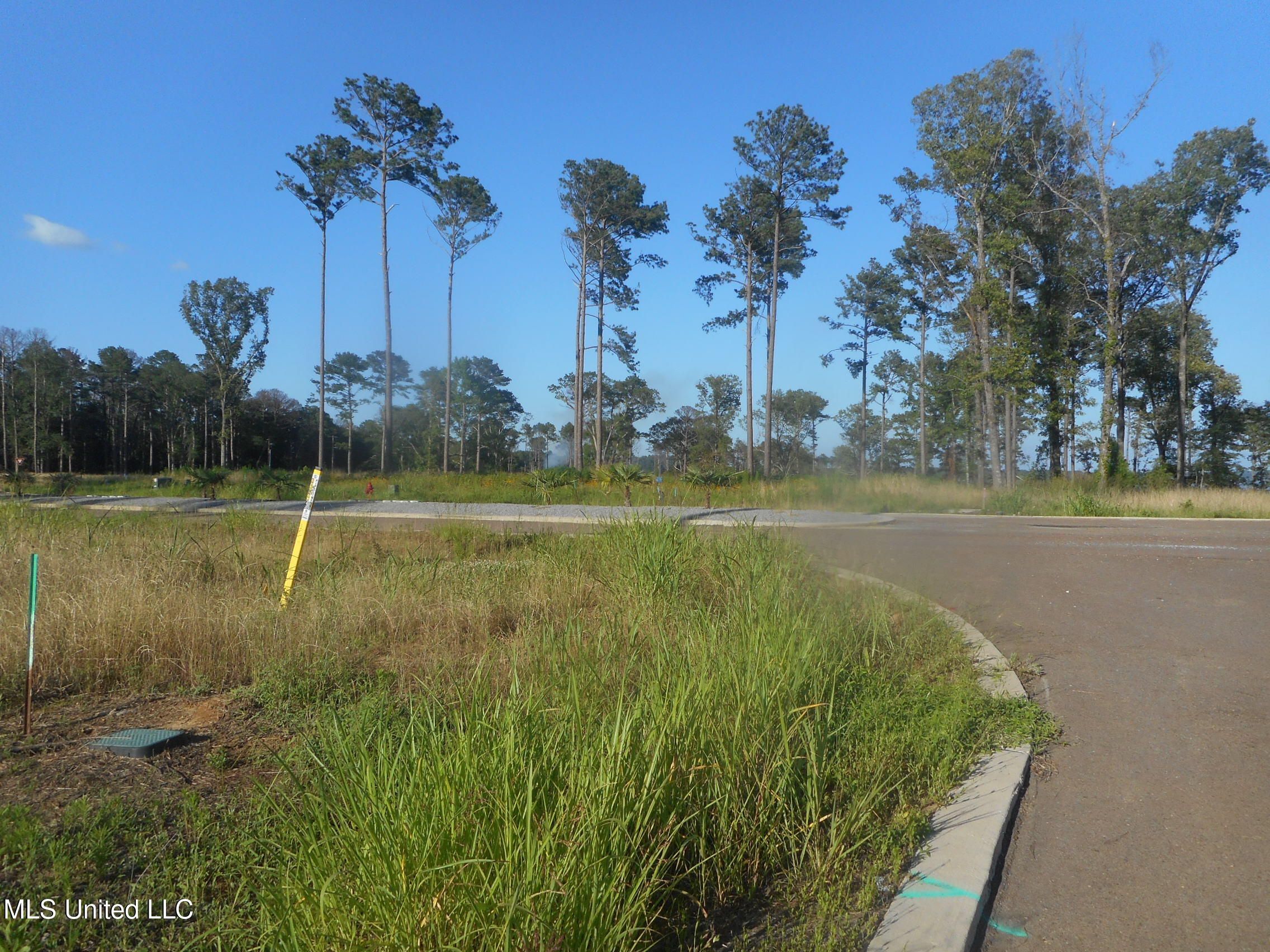 Apollo Way, Canton, Mississippi image 3