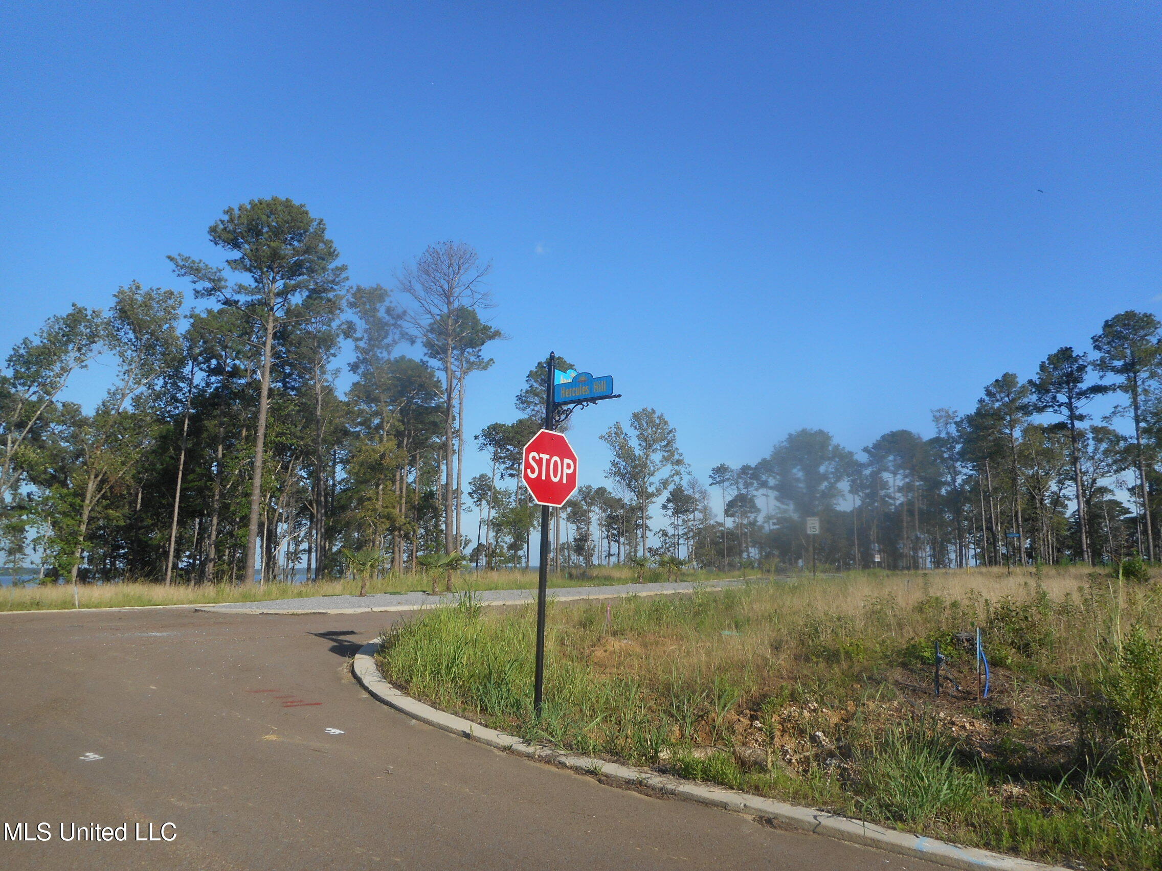 Apollo Way, Canton, Mississippi image 5