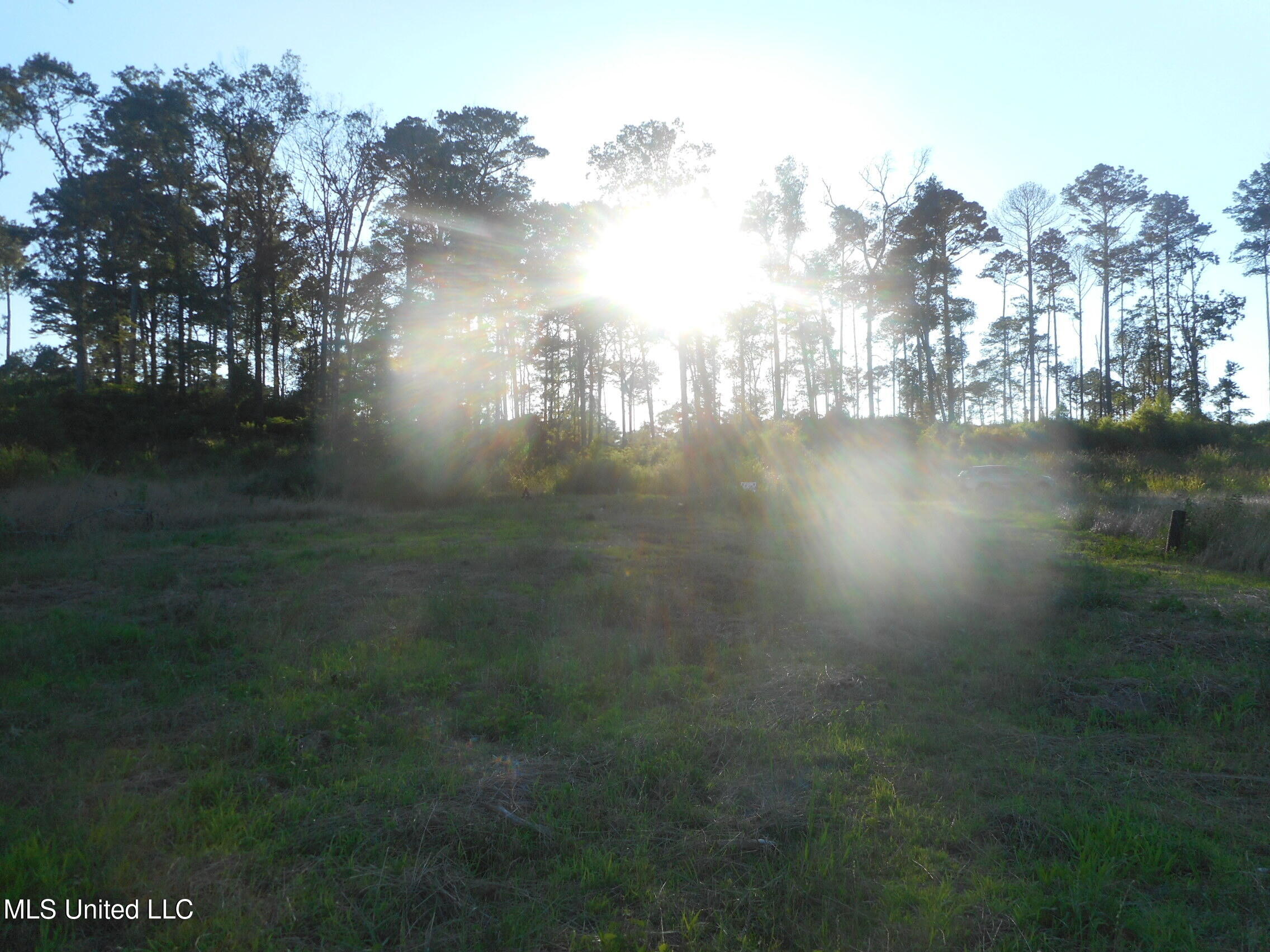 Apollo Way, Canton, Mississippi image 15