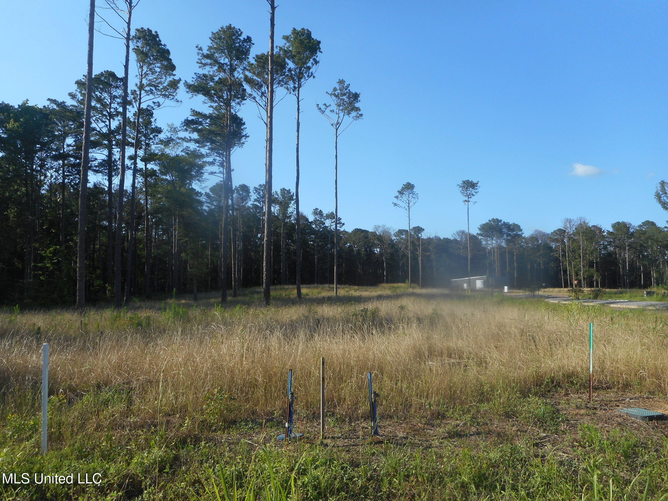 Apollo Way, Canton, Mississippi image 2