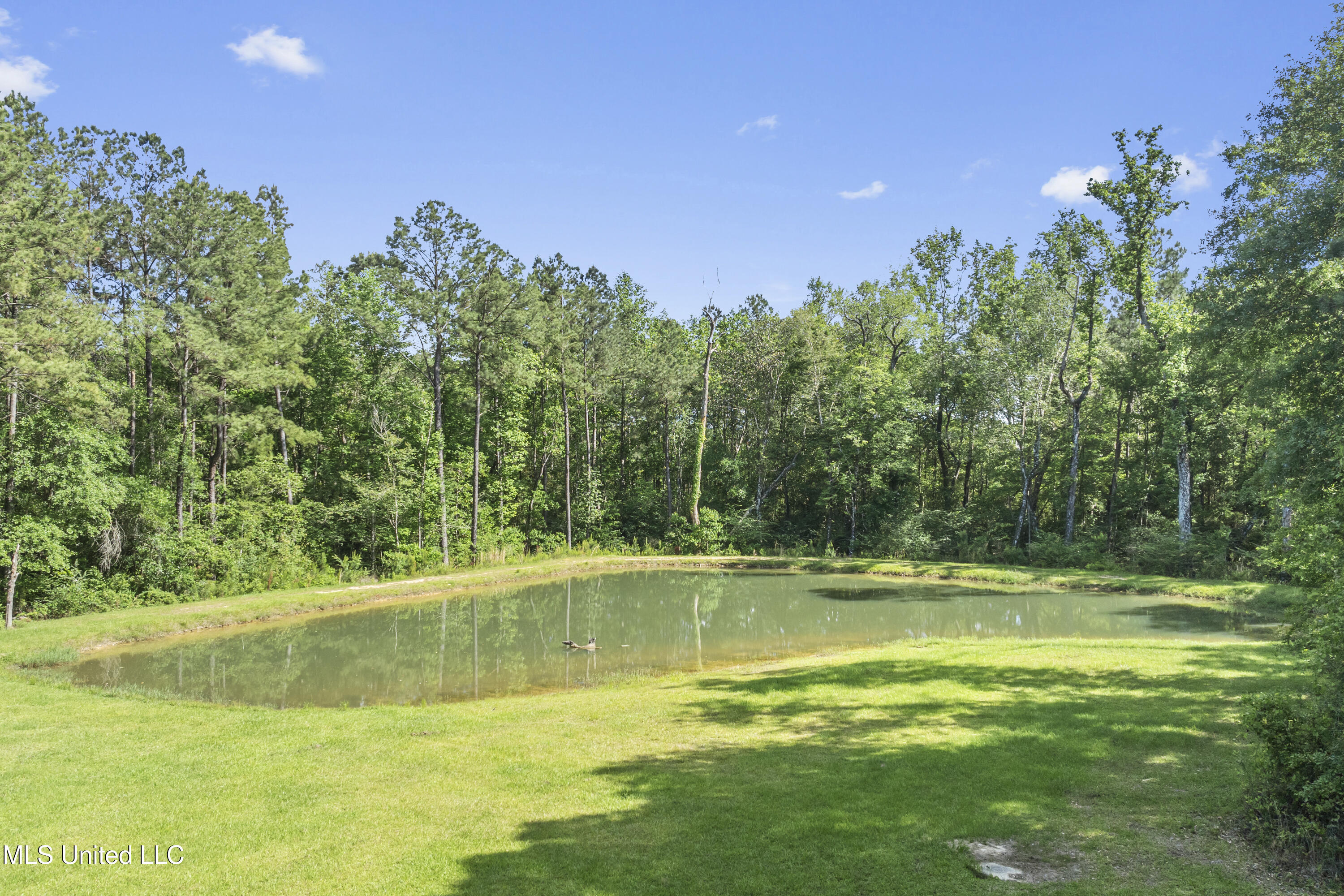 16441 E Adams Road, Saucier, Mississippi image 50