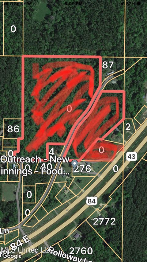 Vacant Land For Sale - Old Hwy 84<br/> Lawrence County, Silver Creek, MS 39663