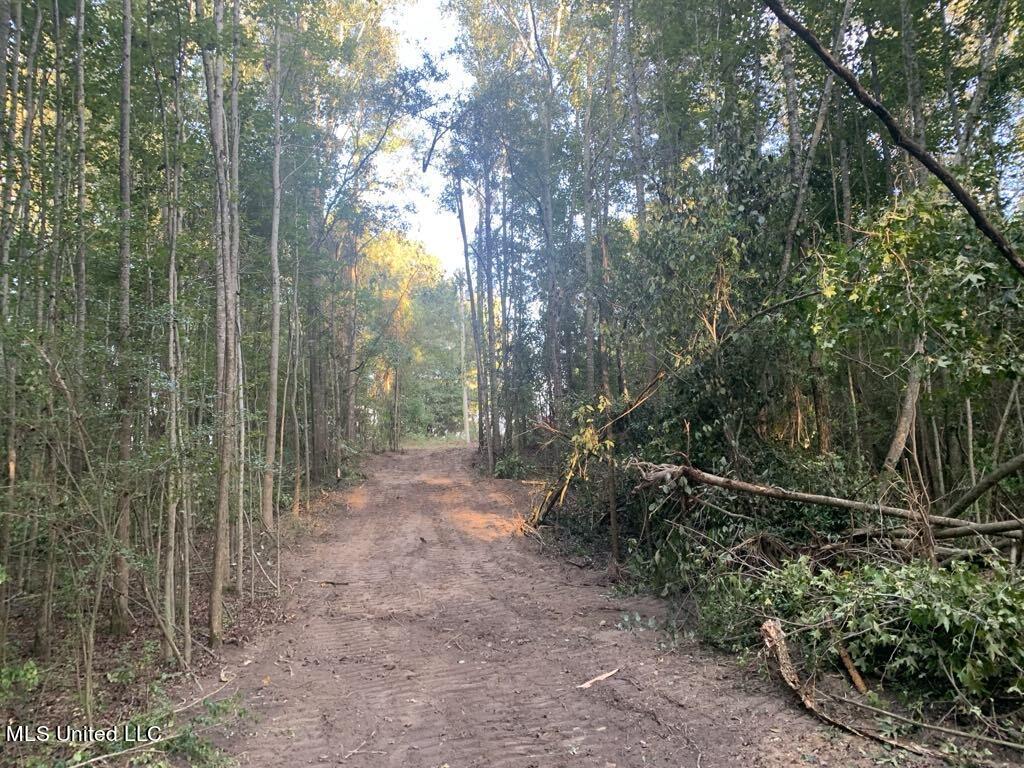 Dry Creek Rd, Mendenhall, Mississippi image 2