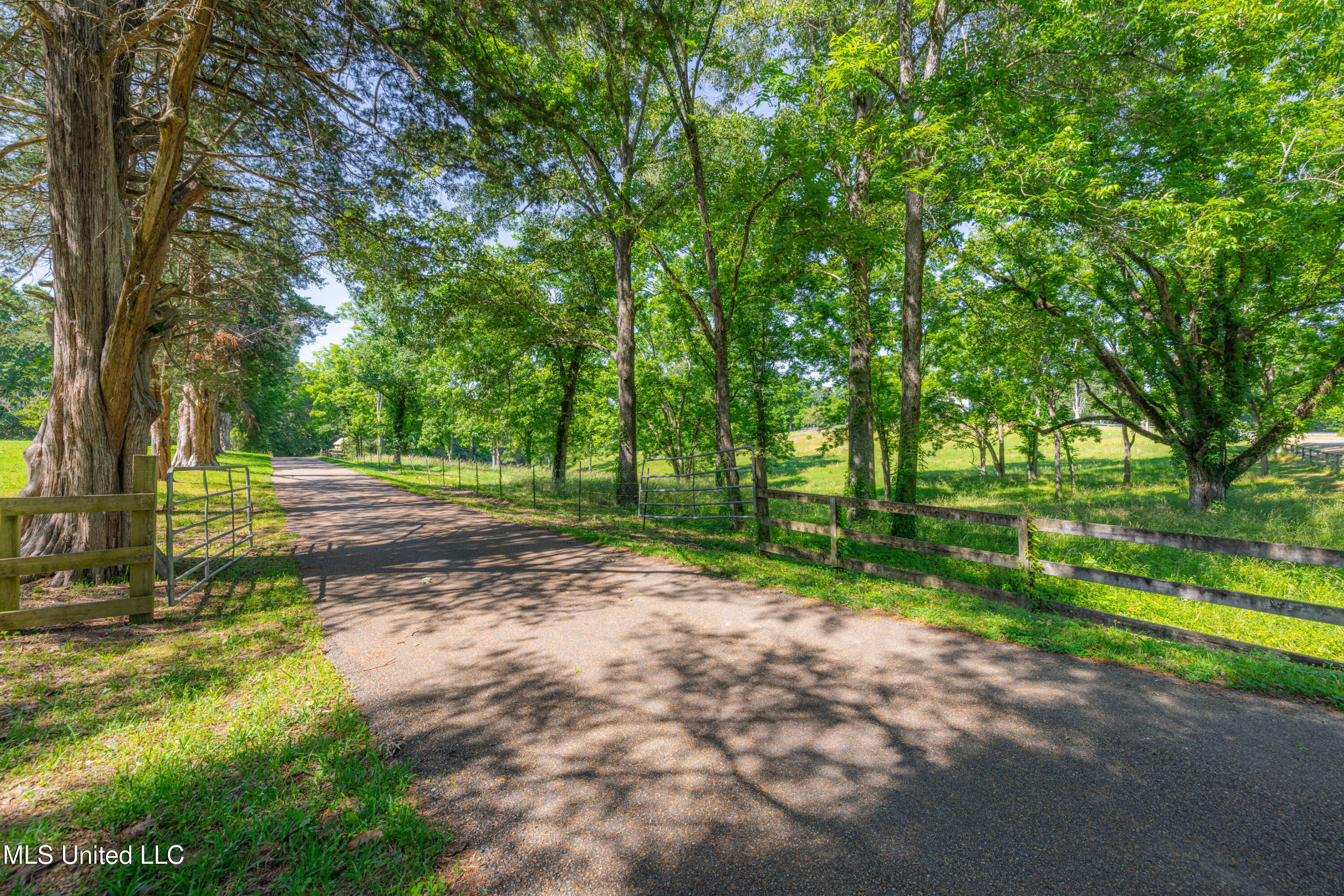 4005 Warriors Trail, Vicksburg, Mississippi image 4