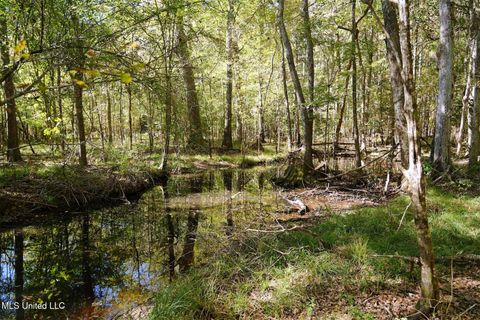 Vacant Land For Sale - SW Jackson Liberty Drive<br/> Lincoln County, Smithdale, MS 39664