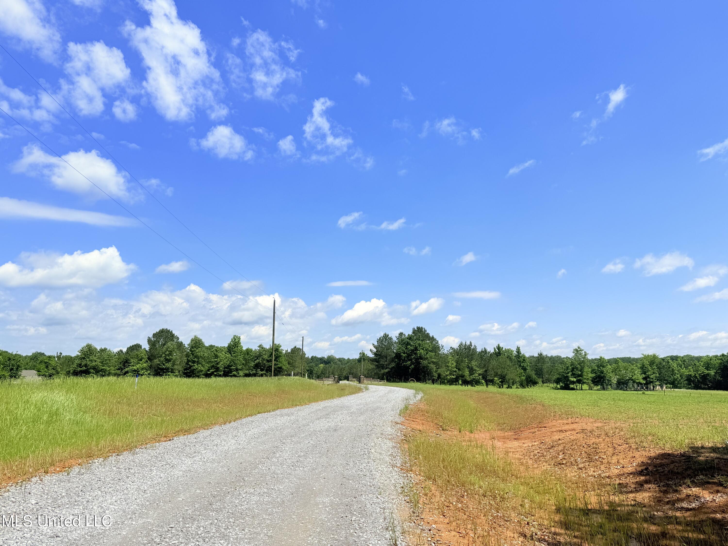 Stout Meadows Lane, Madison, Mississippi image 6