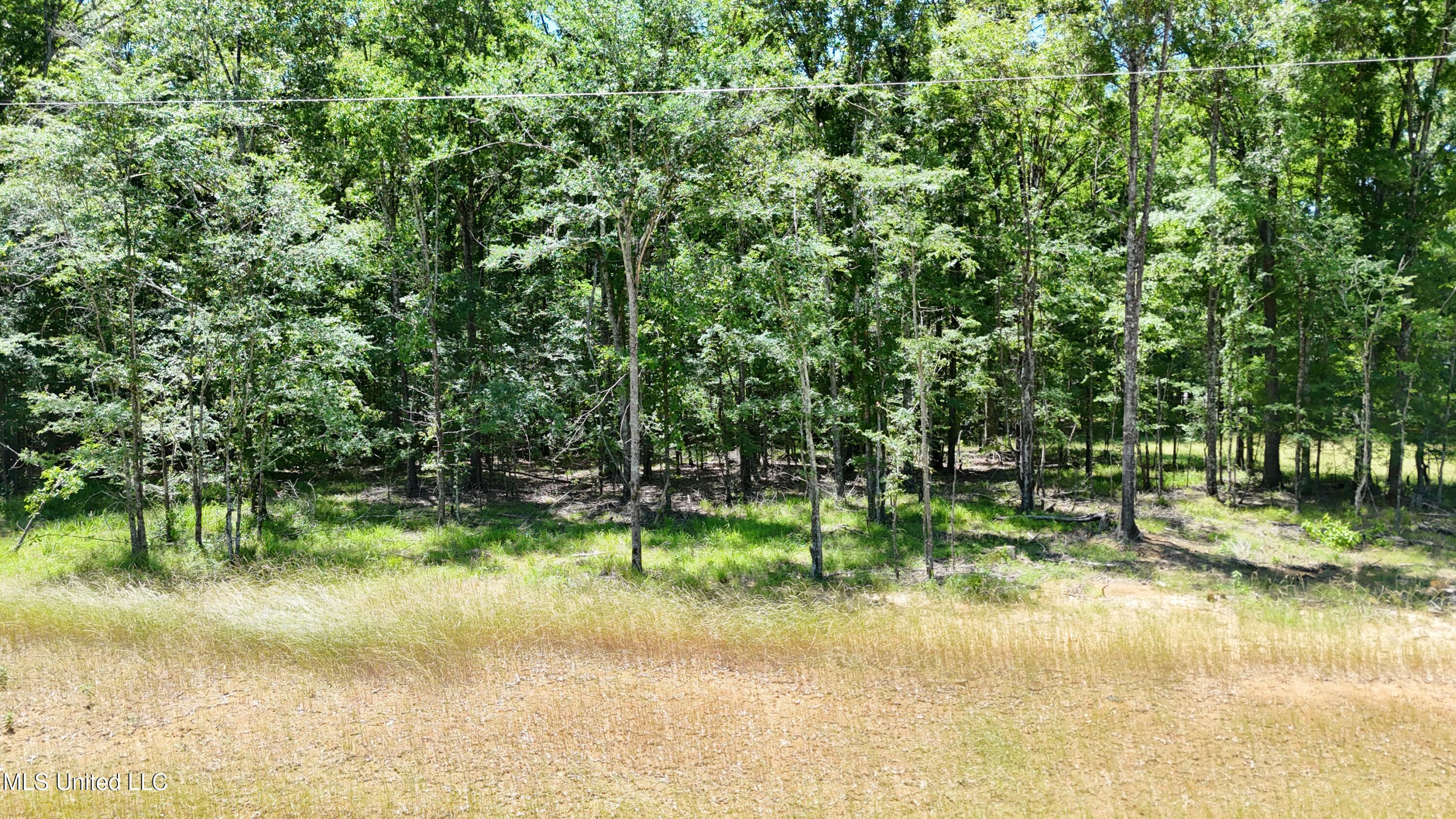 Stout Meadows Lane, Madison, Mississippi image 3