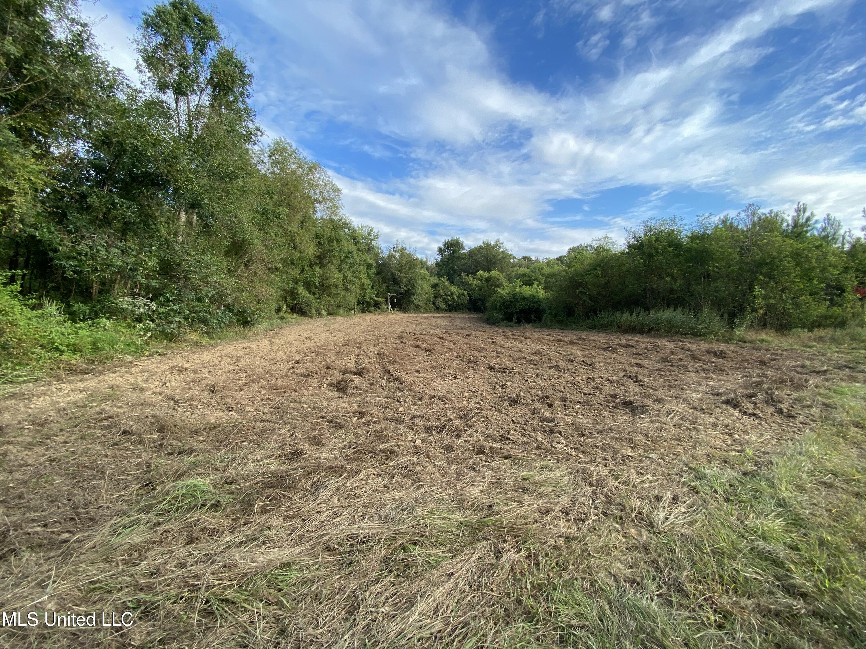 Big Cedar Creek Road, Lucedale, Mississippi image 5