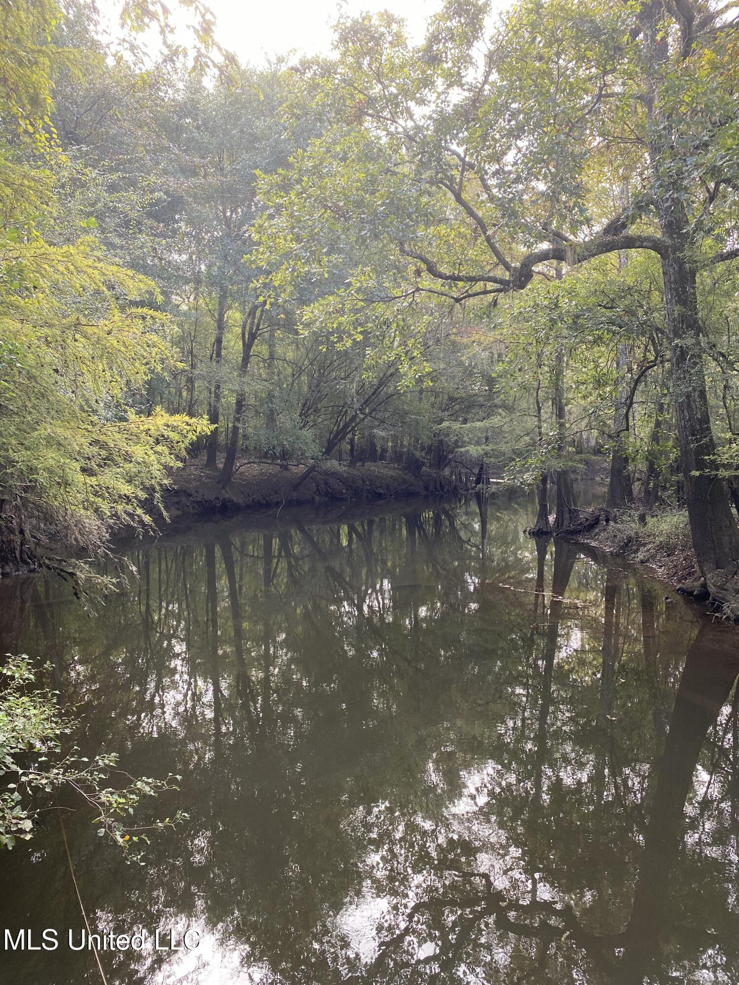 Big Cedar Creek Road, Lucedale, Mississippi image 9