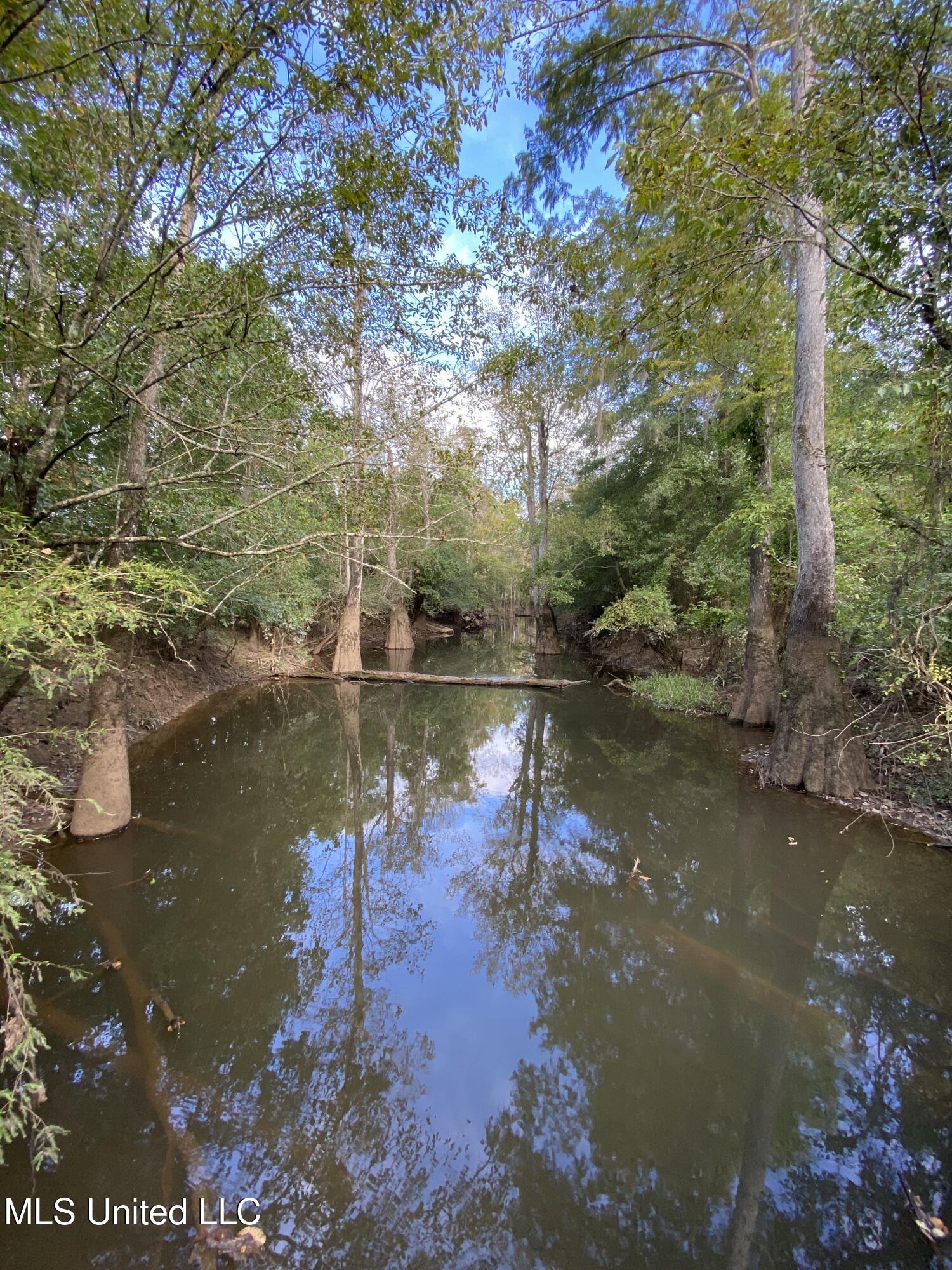 Big Cedar Creek Road, Lucedale, Mississippi image 8
