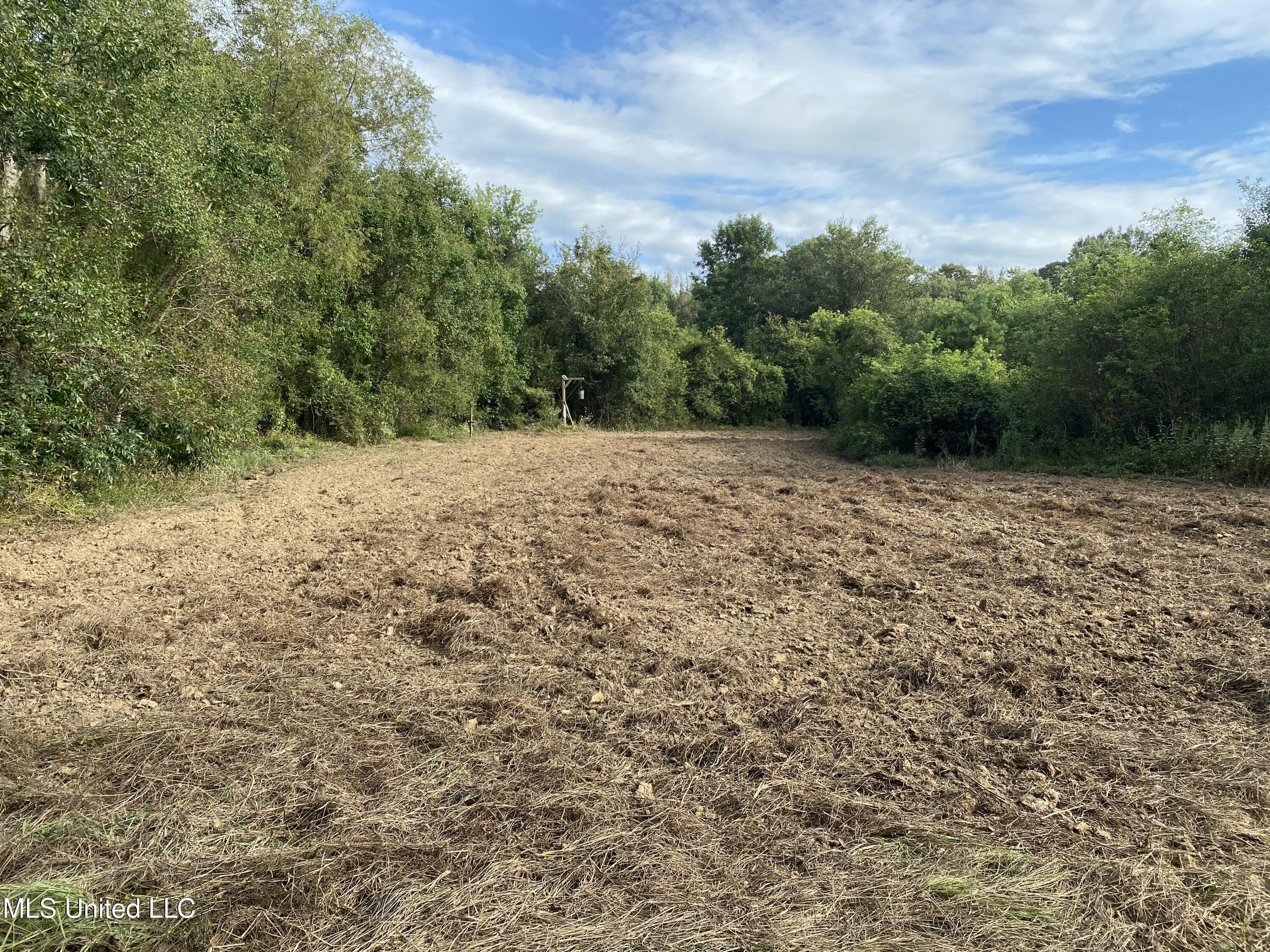 Big Cedar Creek Road, Lucedale, Mississippi image 6