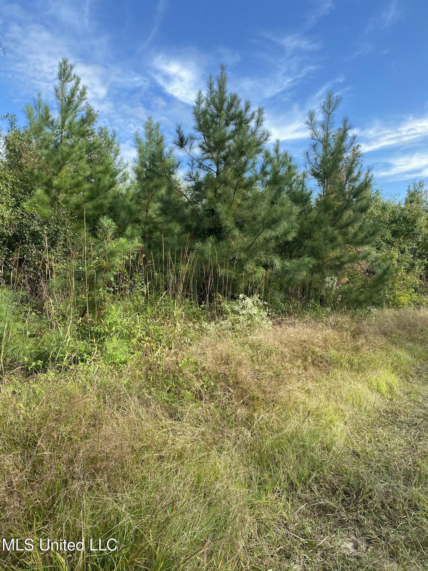 Big Cedar Creek Road, Lucedale, Mississippi image 11