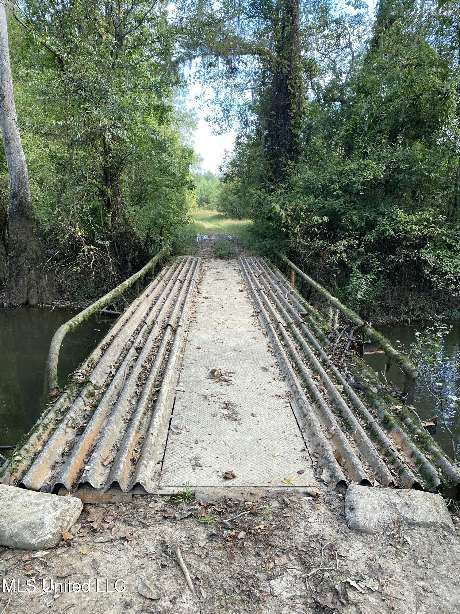 Big Cedar Creek Road, Lucedale, Mississippi image 10