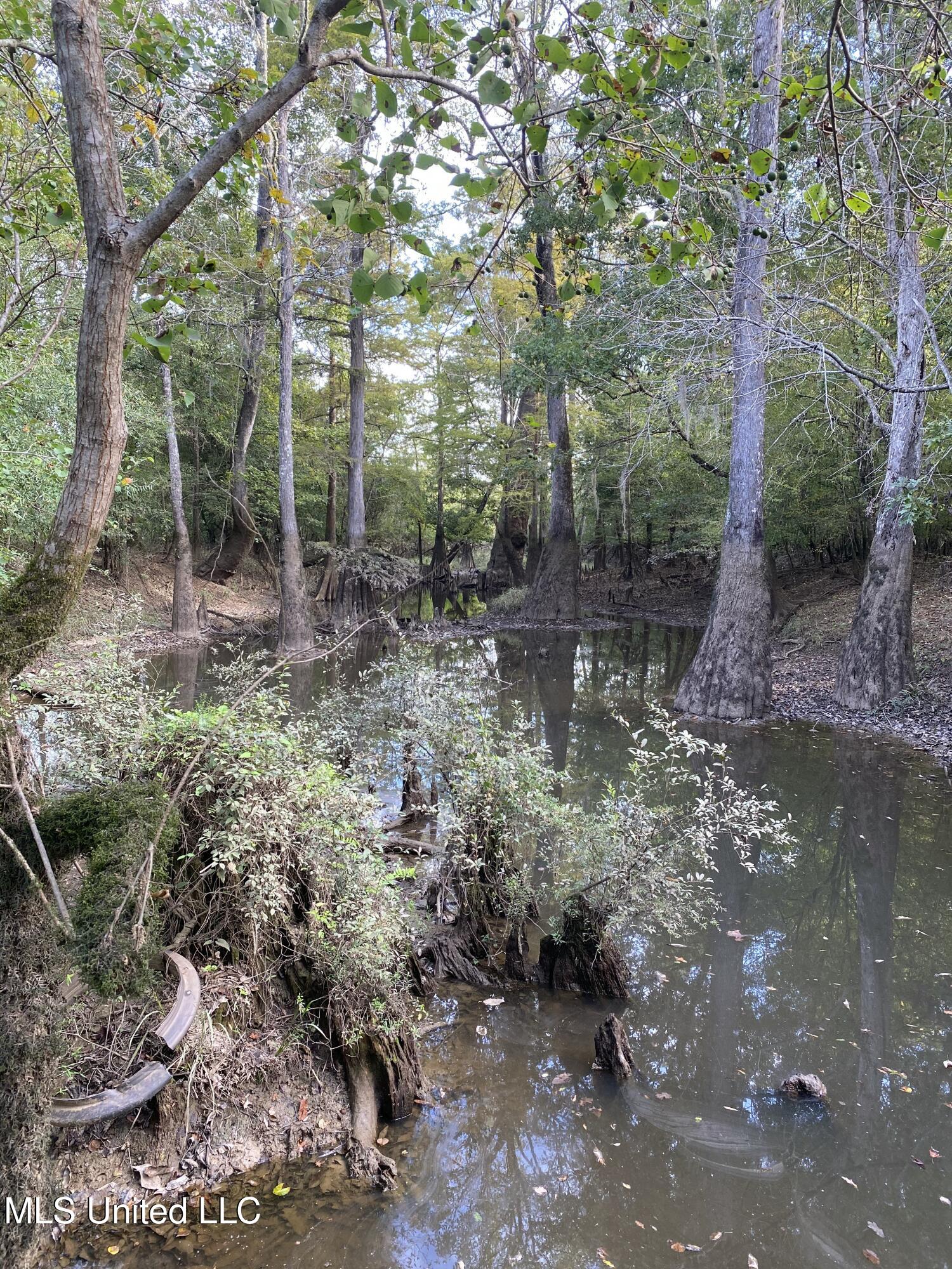Big Cedar Creek Road, Lucedale, Mississippi image 7