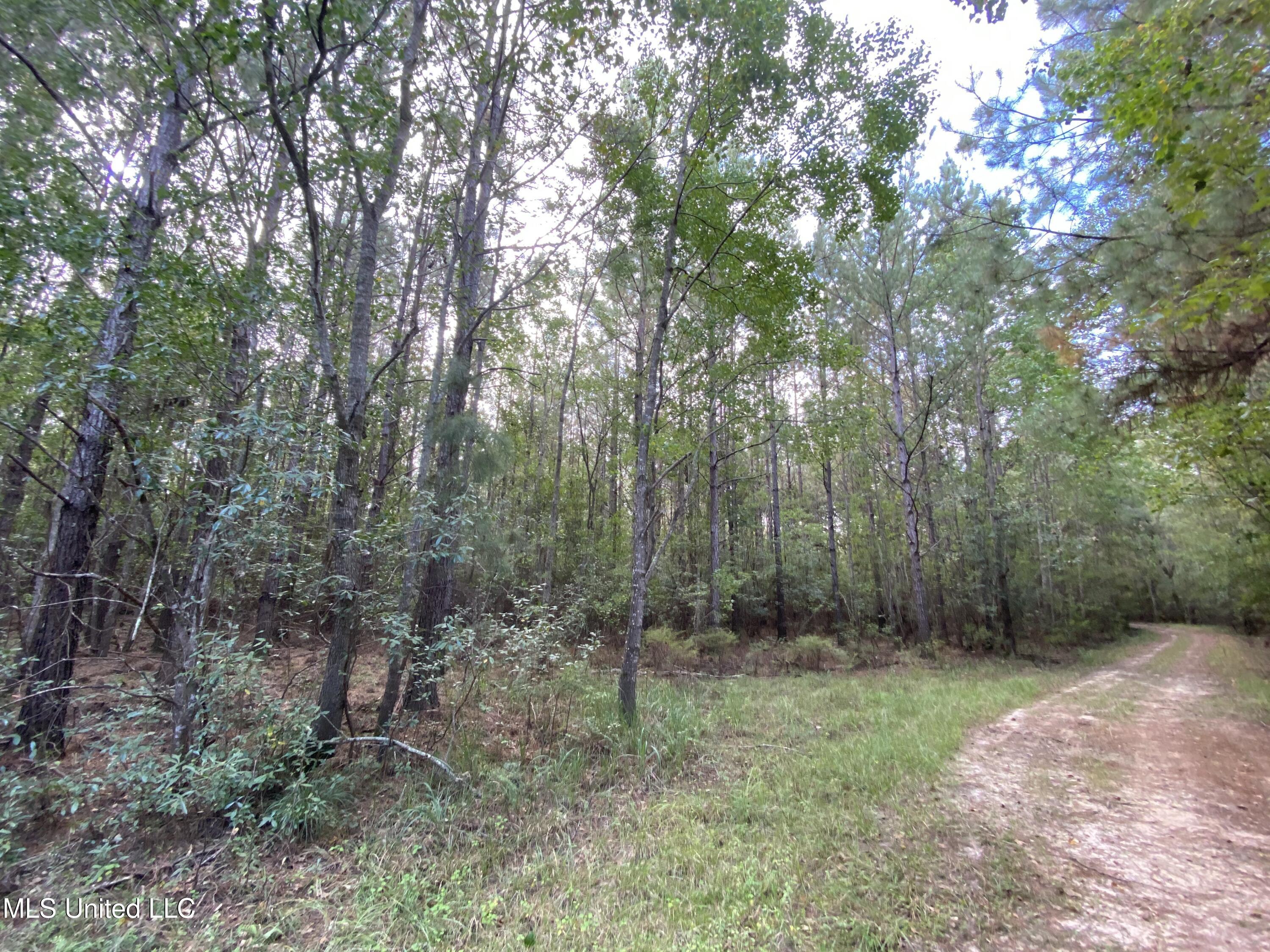Big Cedar Creek Road, Lucedale, Mississippi image 15