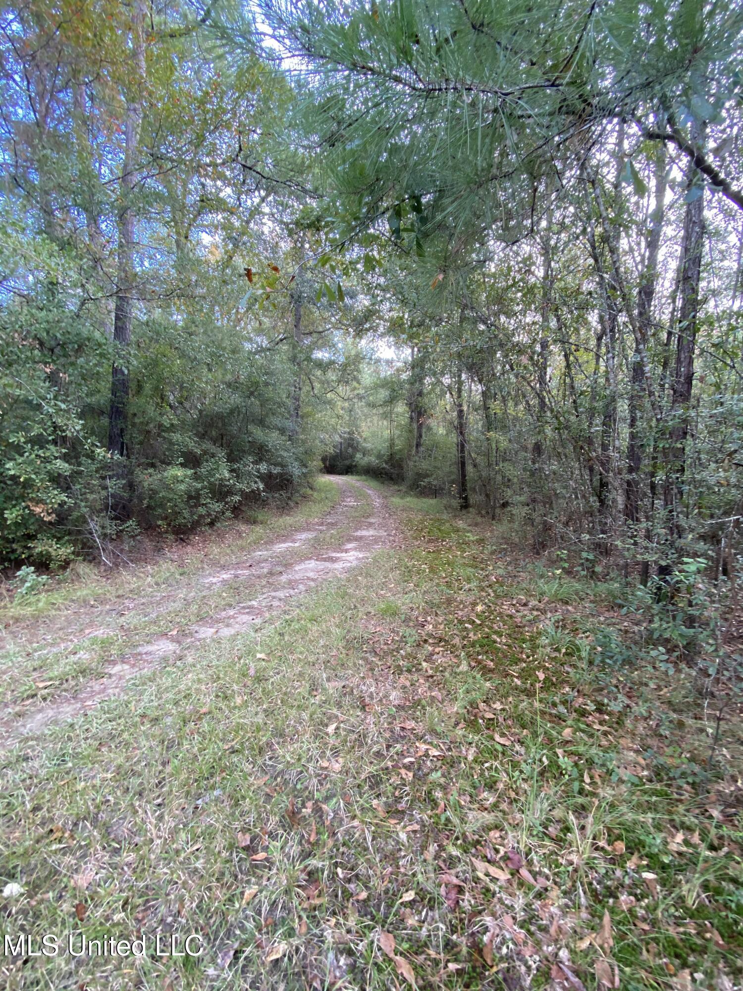 Big Cedar Creek Road, Lucedale, Mississippi image 13